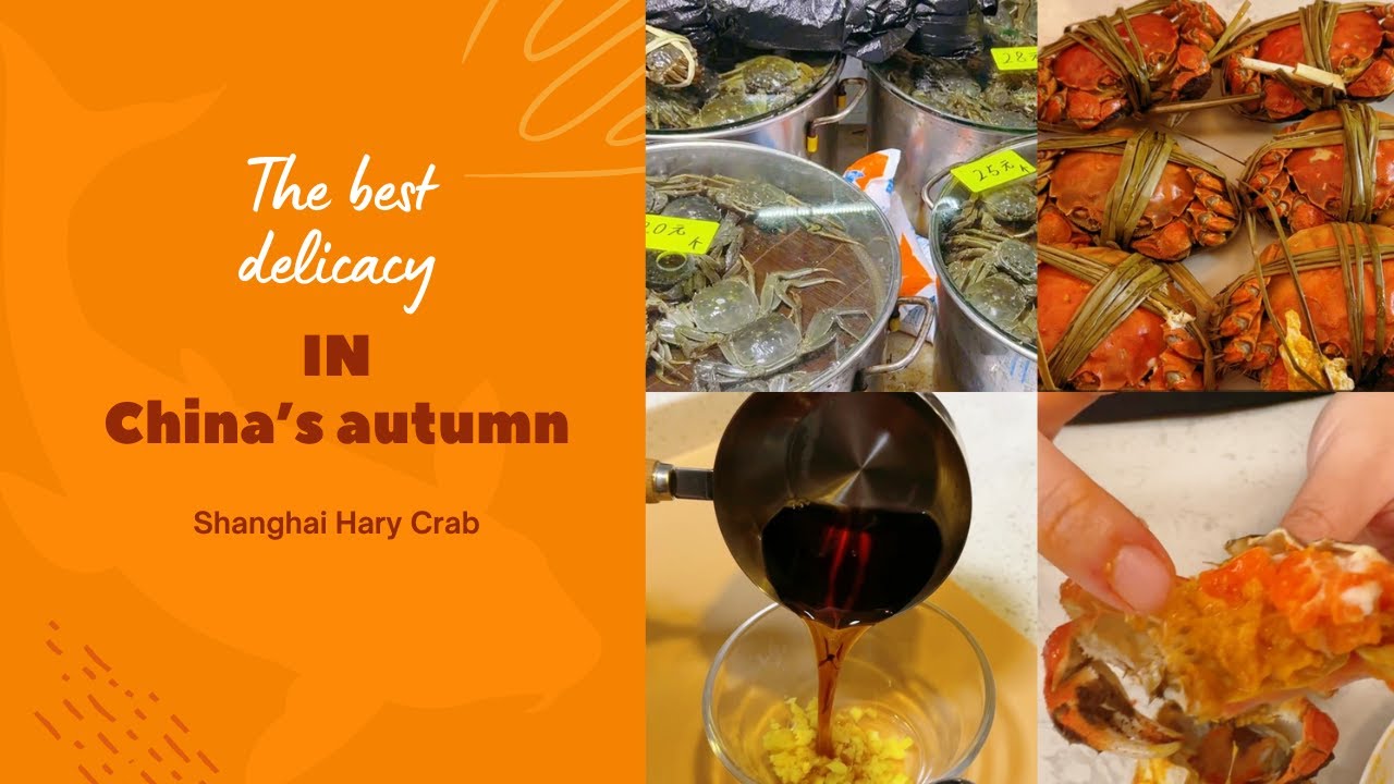 how-to-cook-and-eat-shanghai-hairy-crab-chinese-mitten-crab-youtube