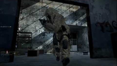 "Bullseye"| Einarsen| MW3 Montage