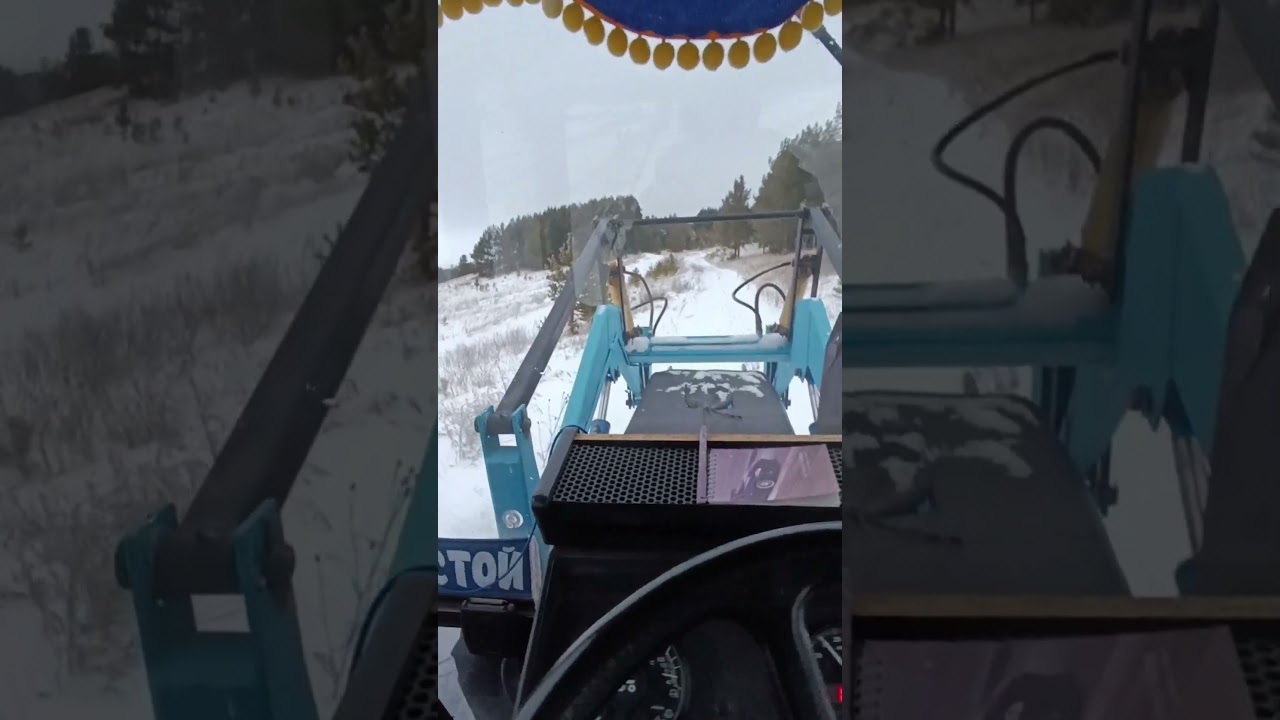 Валëжник на дрова. МТЗ 82. 