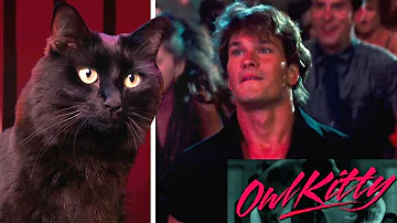 Dirty Dancing — with my cat