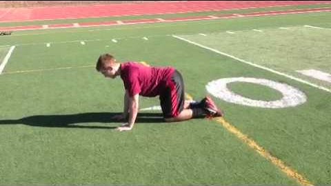 Quadruped flexion and extensions