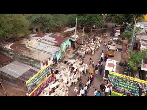 🔴நேரலை  03-08-2025  சீமான் தலைமையில் மலையேறி மாடு மேய்க்கும் போராட்டம்  | தேனி & அடவுப்பாறை