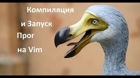 Компиляция и запуск программ на языках Python, C++,C и Java на Vim-е