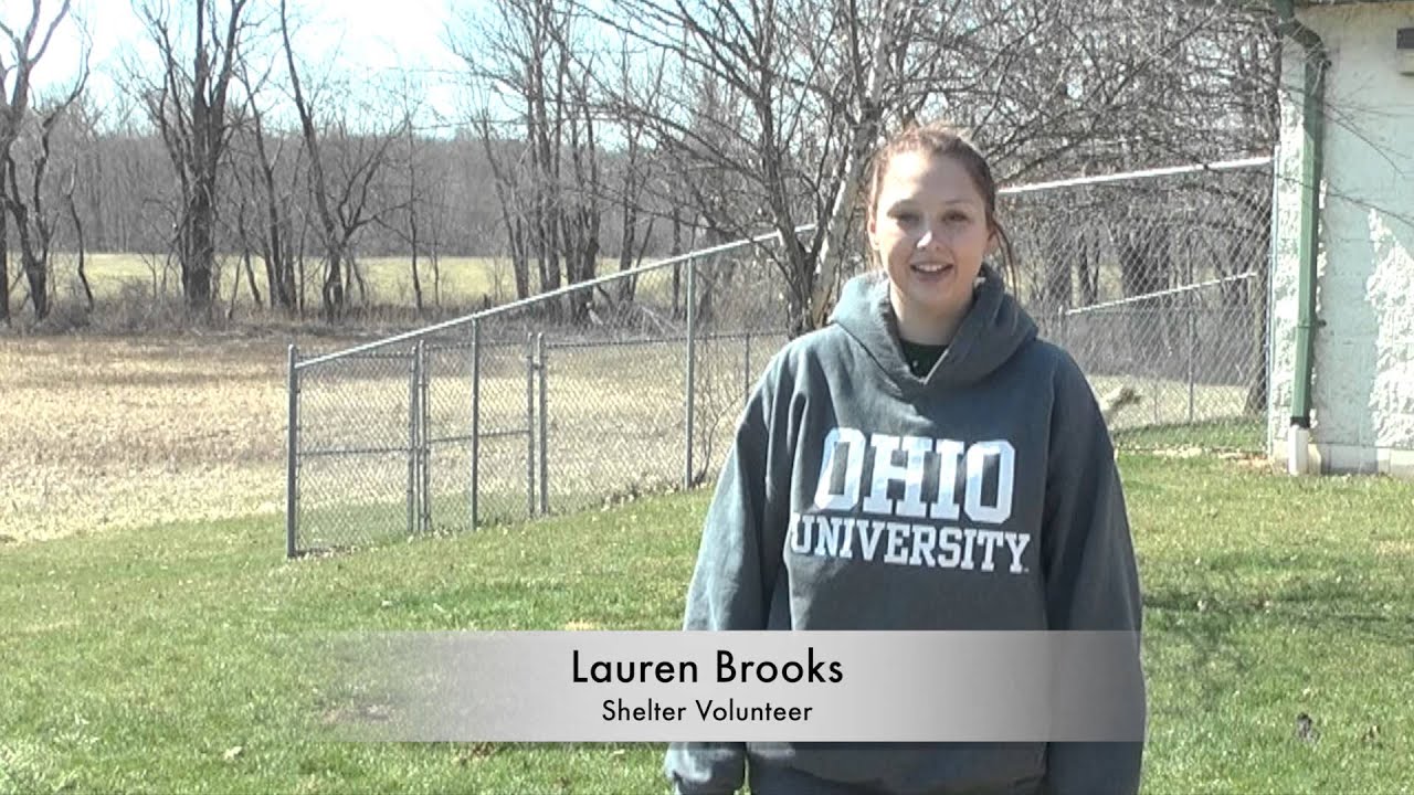 Athens County Dog Shelter YouTube