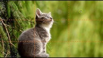 Adjusting Guidelines in PowerPoint Using the Rule of Thirds
