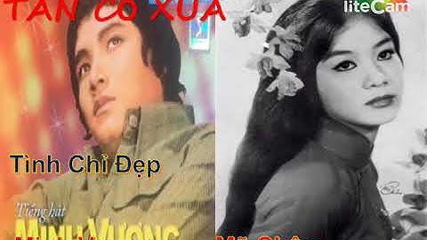 Tình Chỉ Đẹp Tân Cổ | Minh Vương Mỹ Châu | Tân Cổ Xưa