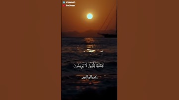 سورة القصص || الآية ٨٣ || الشيخ زكريا