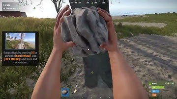 RUST Tutorial Island: Foraging and Crafting