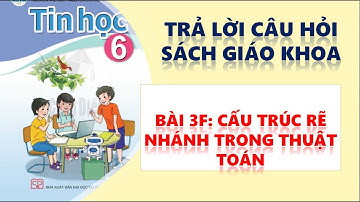 Hướng dẫn trả lời câu hỏi SGK Tin Học 6 Cánh Diều. Bài 3F Cấu trúc rẽ nhánh trong thuật toán