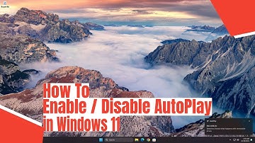 How To Enable / Disable AutoPlay in Windows 11