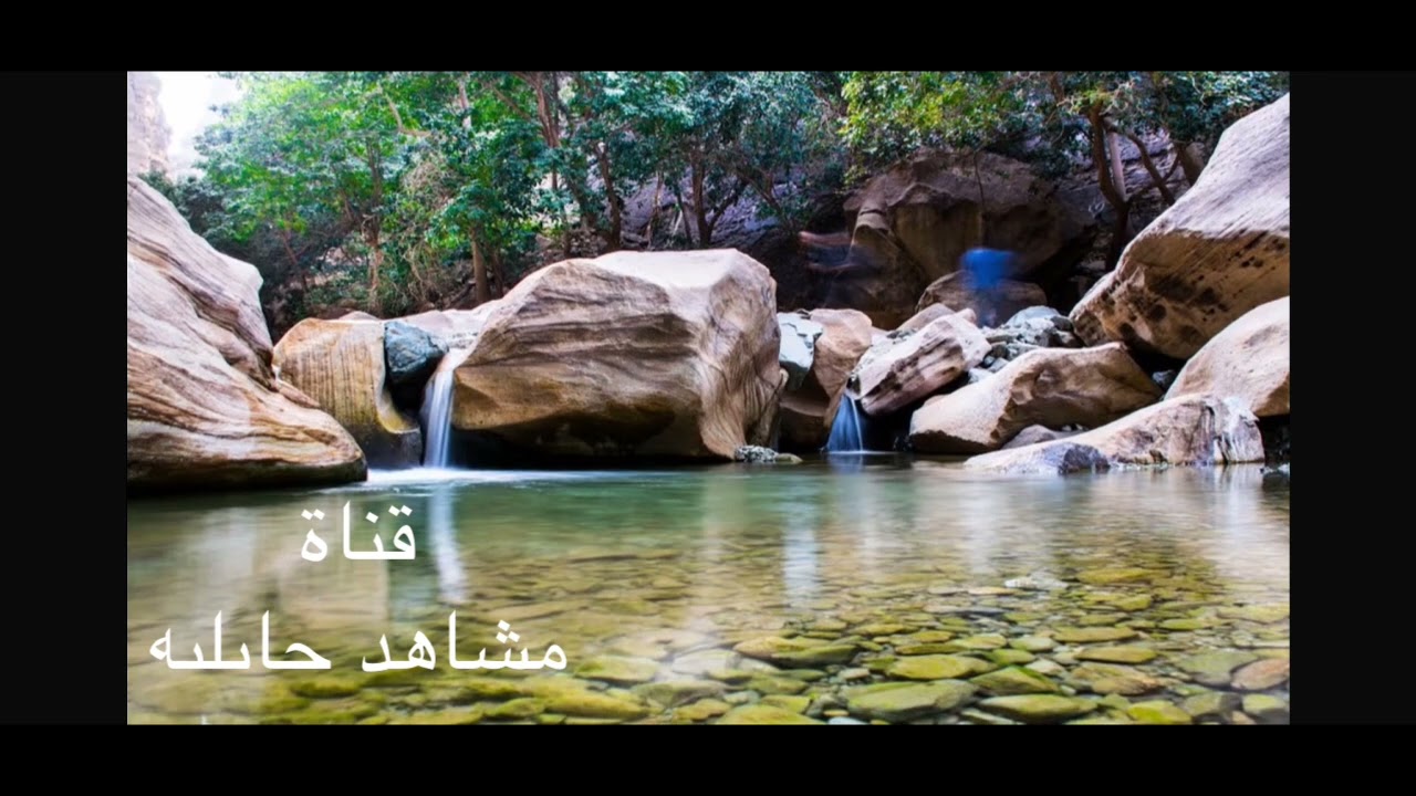 دوتو الفنان ابوسعود