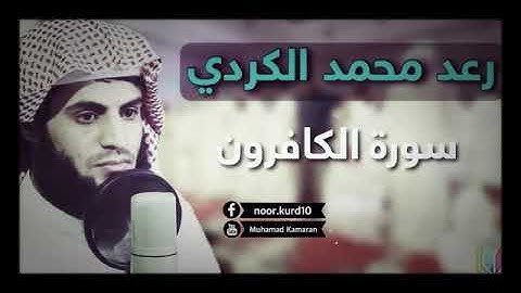 سورة الكافرون اجمل صوت ..الشيخ رعد الكردي