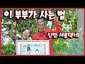 [남도지오그래피]  이 부부가 사는법, 신안 서울댁네 - 200622