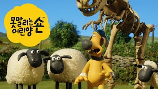 화석 [Shaun the Sheep Korea S3 | Full Episode]