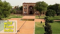 Popular Videos Gardens Of Babur Humayun S Tomb Youtube