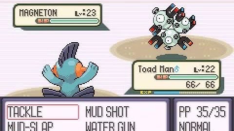 Pokemon Ruby: Versus Watson