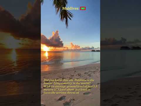 Mesmerizing Golden Sunset