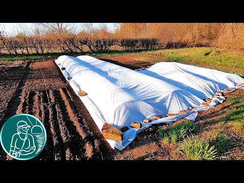 🍅 Посев семян томатов без рассады в парник своими руками 🌱 Посадка-выращивание безрассадных томатов