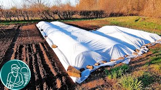 🍅 Посев семян томатов без рассады в парник своими руками 🌱 Посадка-выращивание безрассадных томатов