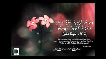 قراءة خاشعه للشيخ ادريس ابكر - جزء من سورة الإسراء -