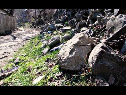 დვირში დამცავი კედლის მოწყობას ითხოვენ