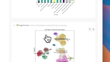 Biomni example: scRNA-seq annotation