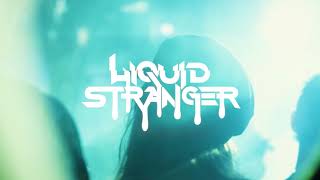Liquid Stranger at the Village Stage