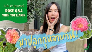 TOEYJARIN EP.6 ROSE Q&A มาปลูกกุหลาบกัน !