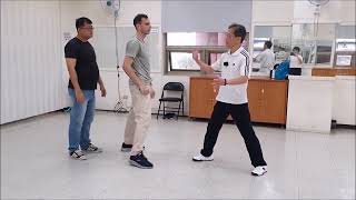 The Classic Inheritances of Tai Chi : Qi, internal strength and issuing force .