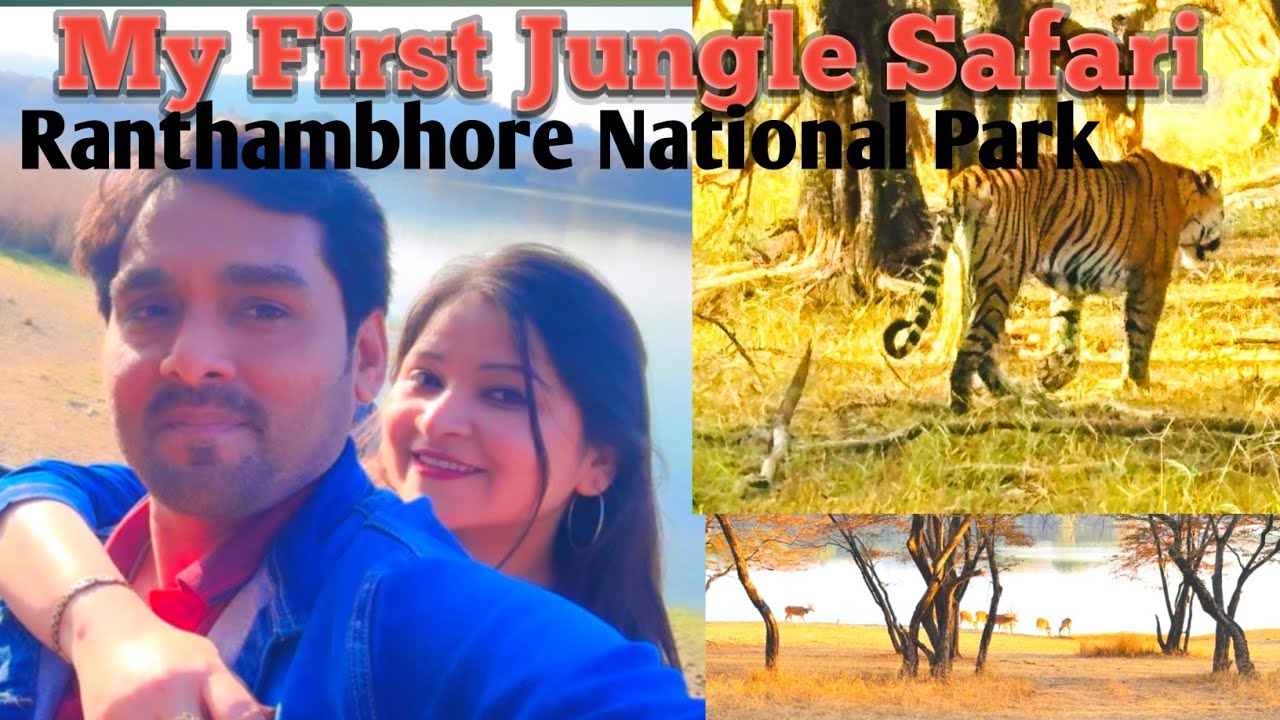 My First Jungle Safari || Ranthambore National Park ||Sawai Madhopur Rajasthan || Tiger Reserve 