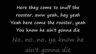 Rooster-Alice In Chains lyrics