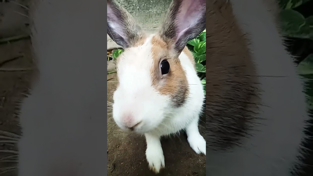 Very smart goggle love you too dear 🥰😊🥰💝💖💞💓