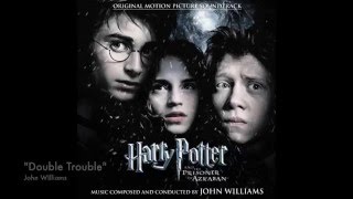 : "The Beautiful Music of the Harry Potter Series"