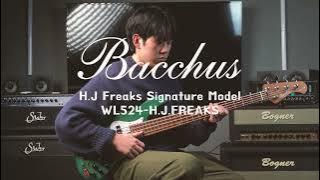 sakanaction - Wasurerarenaino I H.J Freaks Signature Model WL524 Demo