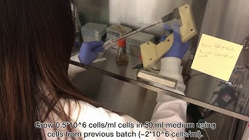 Lab #8 Baculovirus Mediated Protein Expression