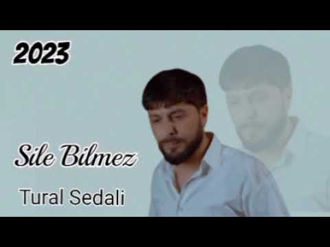 Tural Sedali - Üreyi Daş İnsan Seve Bilmez 2023 [Official Music]