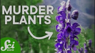 Nature's Silent Killers :Top 10 Most Poisonous Plants in the World