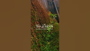 [قال ربنا أننا نخاف أن يفرط علينا أو أن يطغي ] القارئ#شريف_مصطفي #سورة_طه🕊️🌿