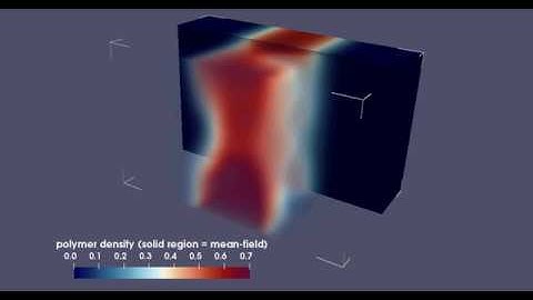 Polymer Field Theory: Mean-field versus complex-Langevin