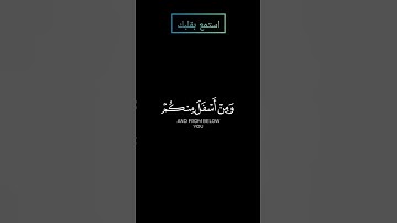 سورة الأحزاب إذ جاءوكم من فوقكم ومن أسفل منكم بصوت القارئ ياسر الدوسري #ياسرالدوسري #قرآن #قرآن_كريم
