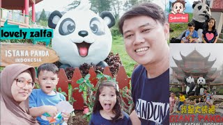 PANDA RAKSASA || Istana Panda Indonesia Taman Safari