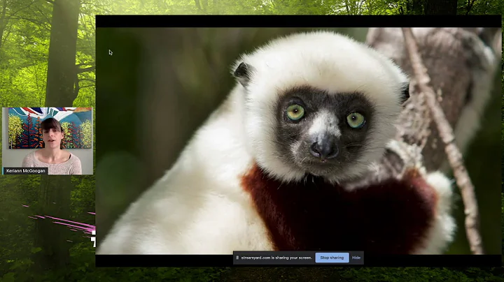 Keriann McGoogan | Chasing Lemurs: My Journey into...