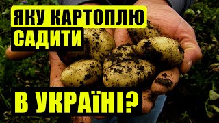 🥔 10 кращих сортів картоплі для вирощування в Україні