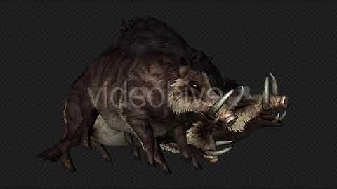 Wildboar Attack And Special Pack 6 In 1 | Motion Graphics - Envato elements