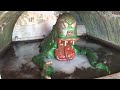 Middle of video