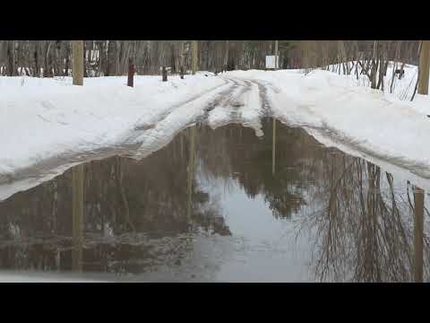 Мартовская оттепель .