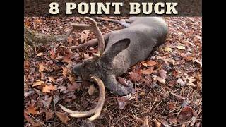 2025 Venango County 8 point buck