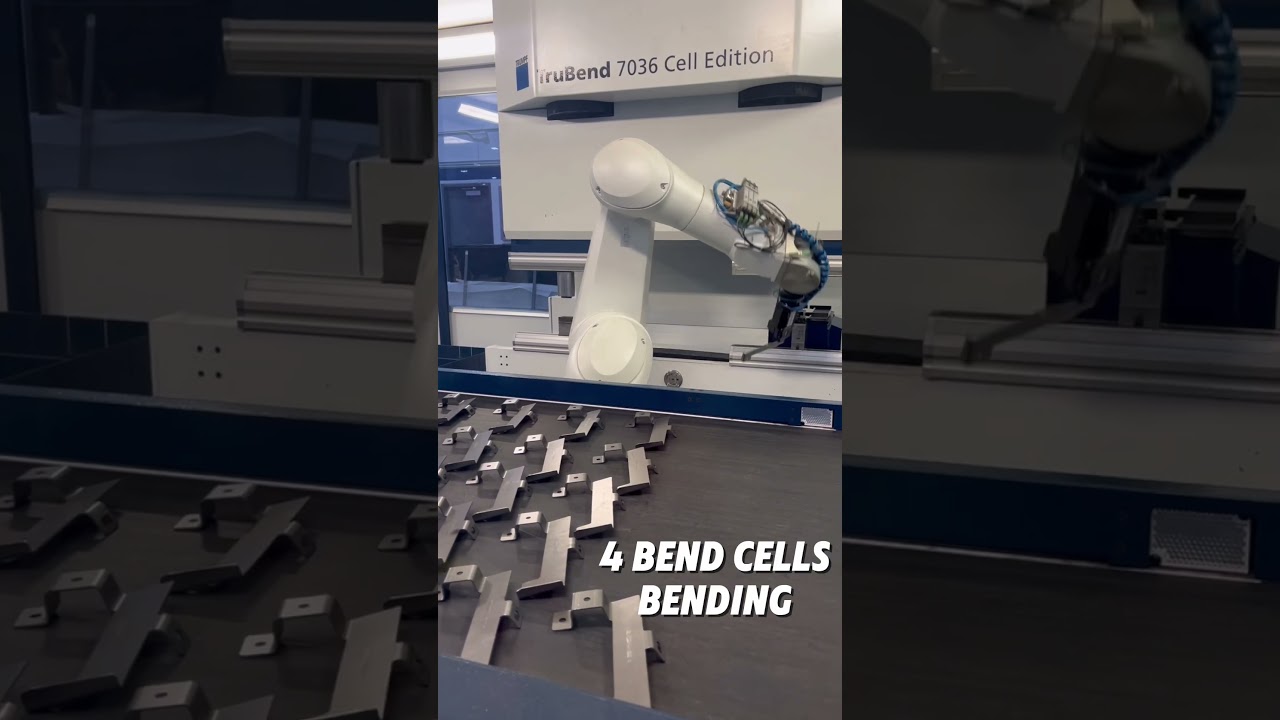 12 Days of Christmas - The Sargent Way