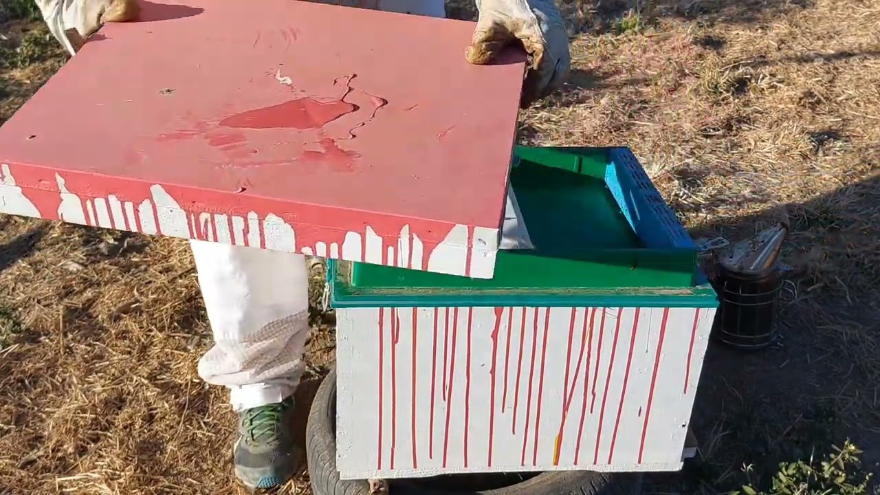 Μελισσοκομικοί χειρισμοι Νοεμβρίου!Προετοιμάζοντας τα μελισσια για χειμώνα!