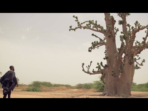 Soralé - Sunu Mame ( hommage à Doudou N'diaye Coumba Rose) Feat. Thaniat, Magou M'baye